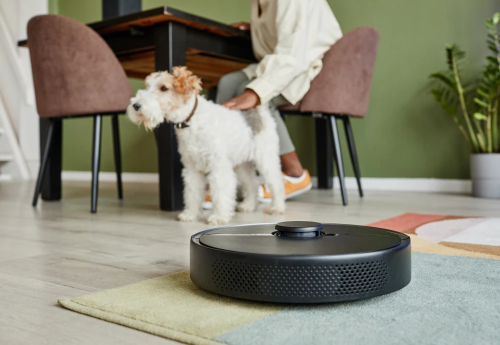 the best robot vacuum cleaner